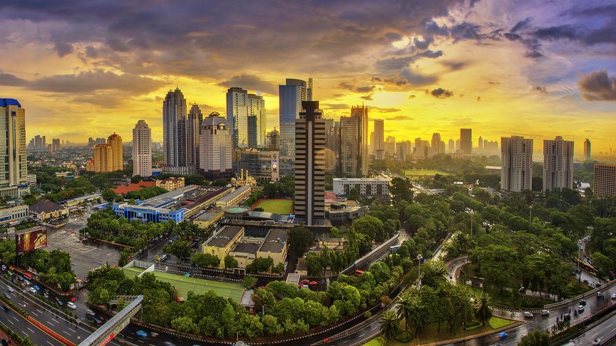 Growth Without Risk? Four Partner Marketing Strategies for Success in Indonesia